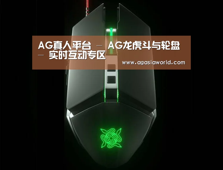 鼠标封面设计