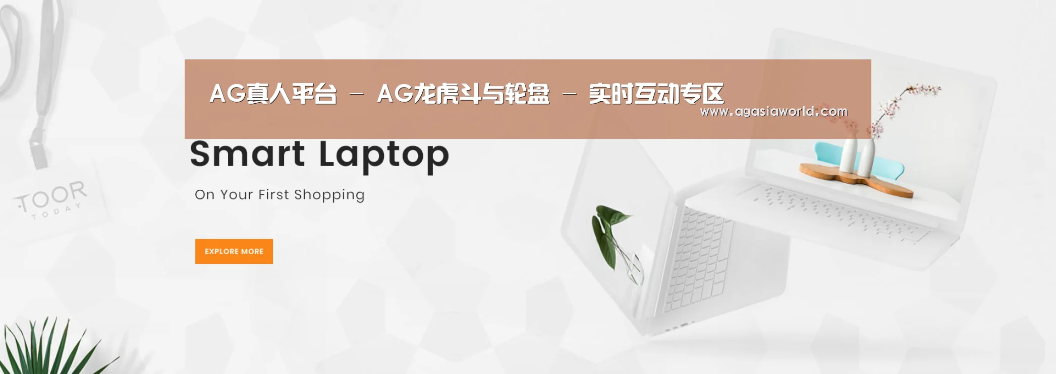 某某网络科技有限公司