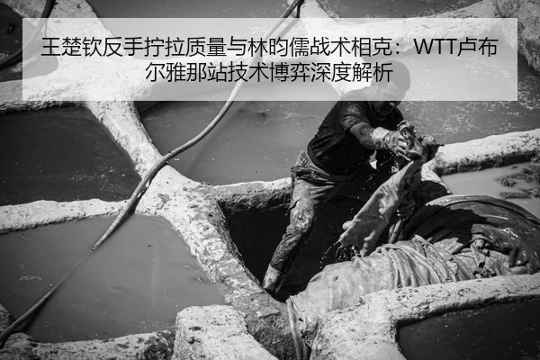 王楚钦反手拧拉质量与林昀儒战术相克：WTT卢布尔雅那站技术博弈深度解析
