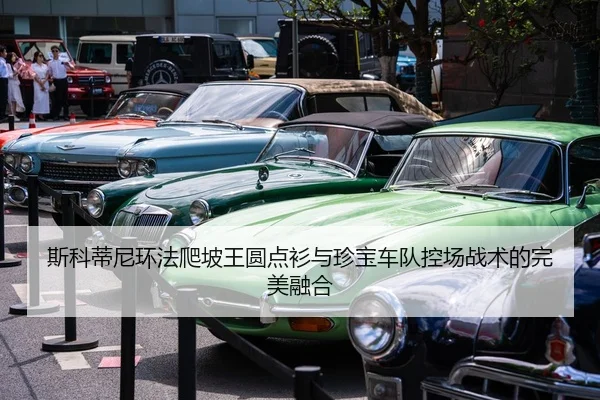 si-ke-di-ni-huan-fa-pa-po-wang-yuan-dian-shan-yu-zhen-bao-che-dui-kong-chang-zhan-shu-de-wan-mei-rong-he-3-512.jpg