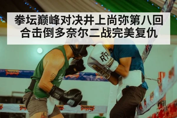 拳坛巅峰对决井上尚弥第八回合击倒多奈尔二战完美复仇