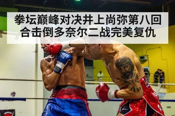 boxing knockout punch